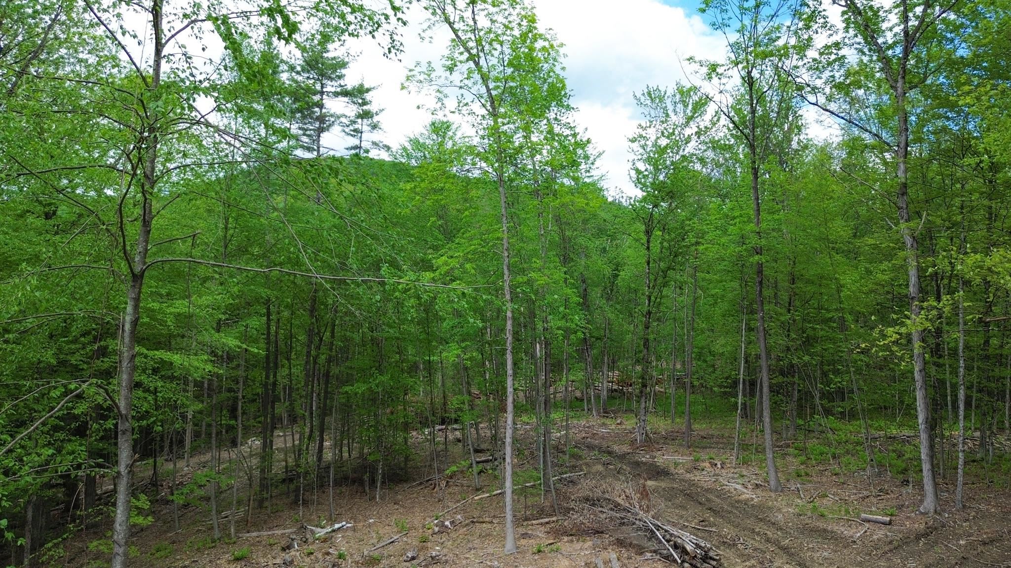 Lot 26-4 Plain Road Hinsdale, NH 03451 - Photo 3 of 28
