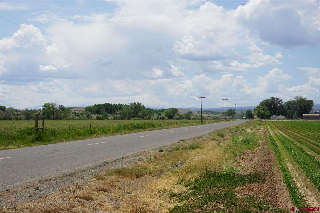 Lot 1 5600th Road Olathe, CO 81425 - Photo 7 of 7 a view of a field with a big yard