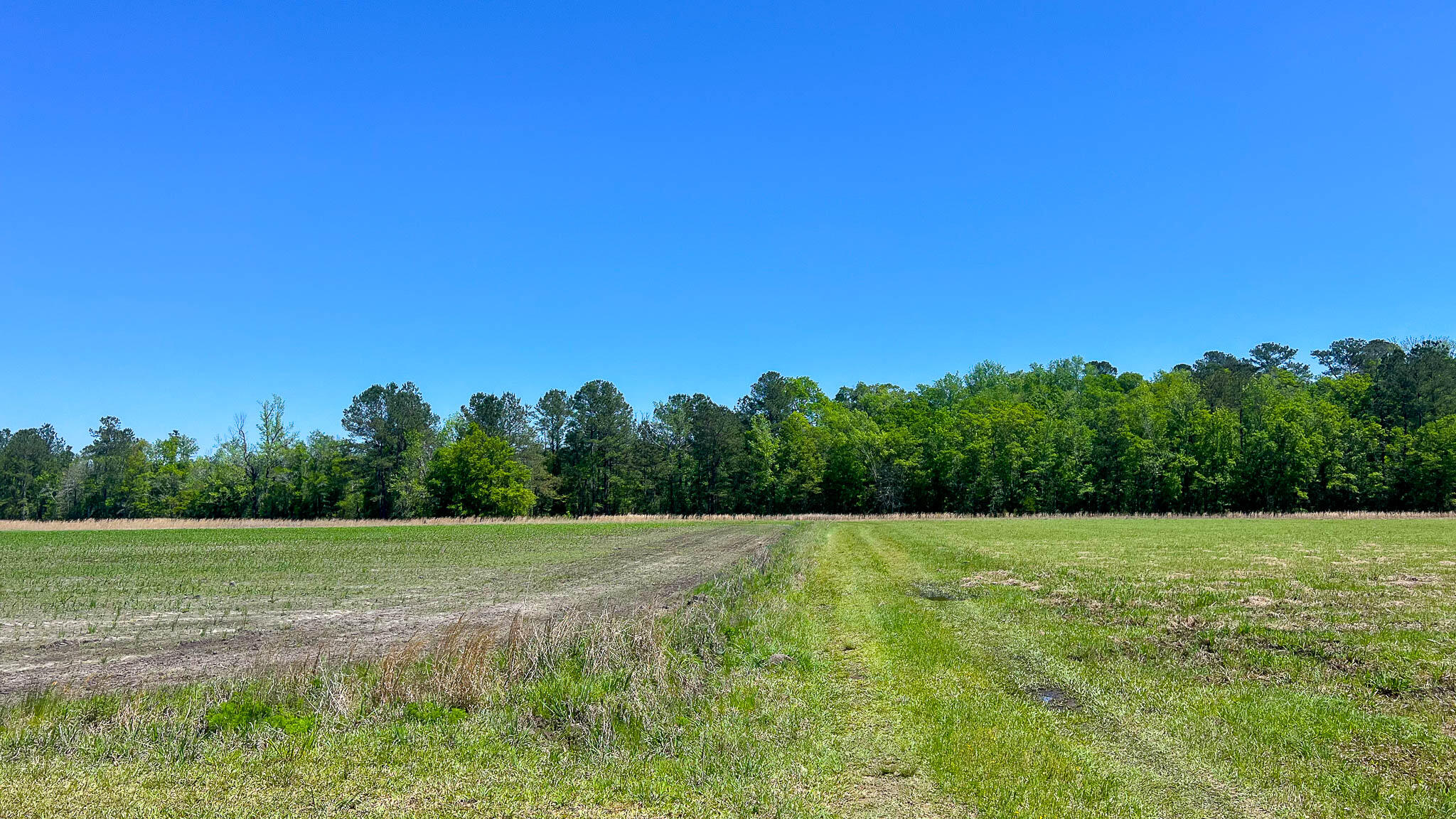 1296 Risher Mountain Road Walterboro, SC 29488 - Photo 14 of 15 Gallery Image 14