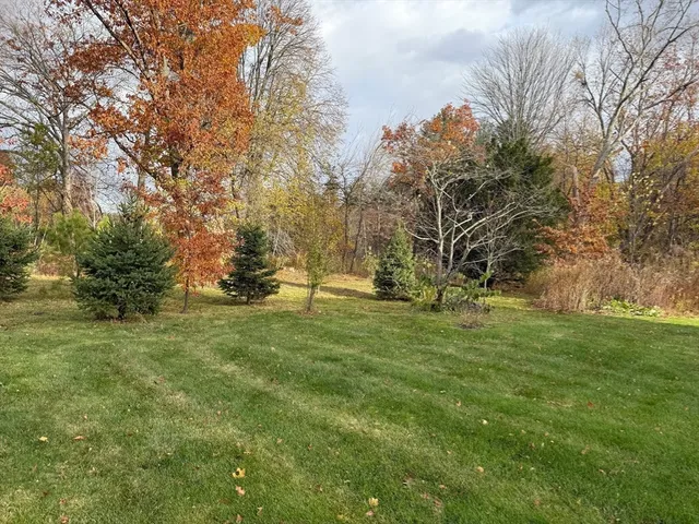 a view of outdoor space with trees all around