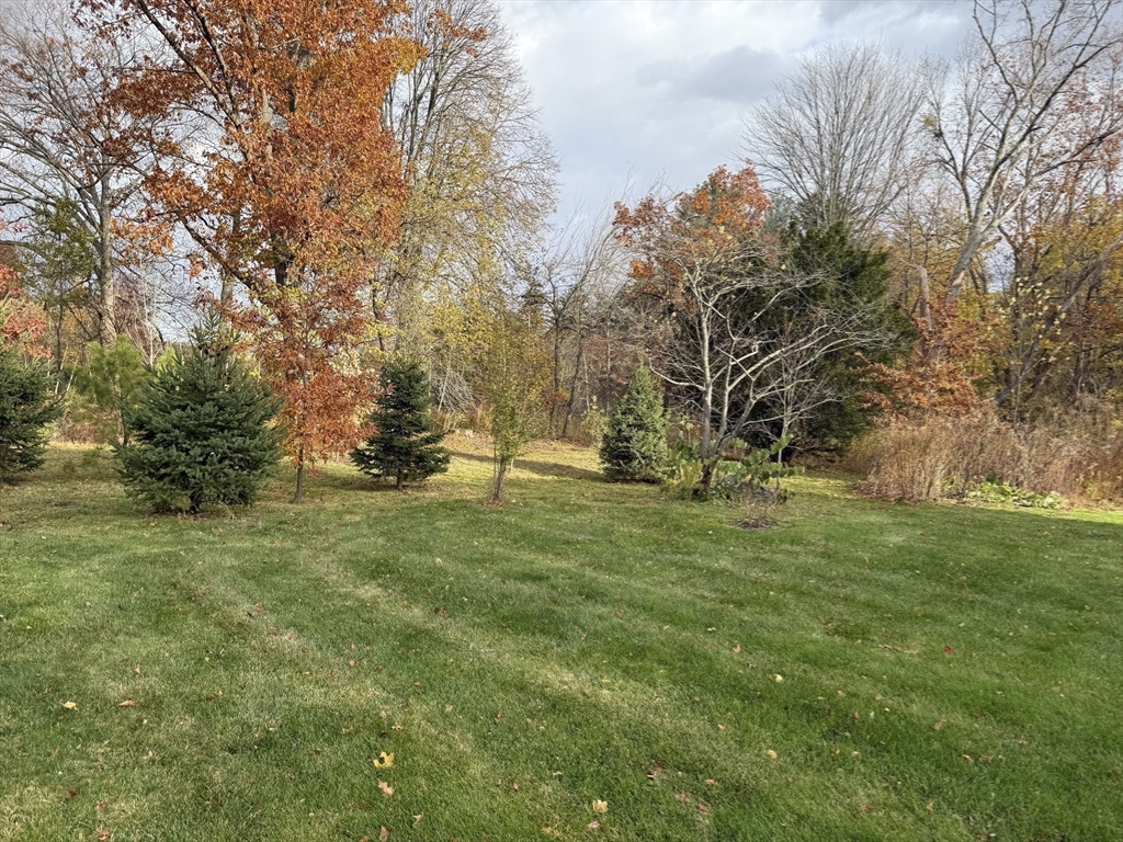 24 State Street, Unit 2 Wellesley, MA 02482 - Photo 20 of 21 a view of outdoor space with trees all around