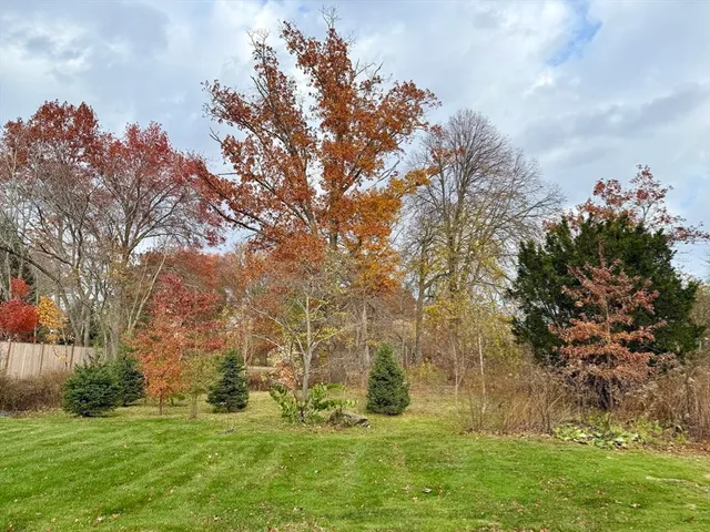 a backyard of a house with lots of green space