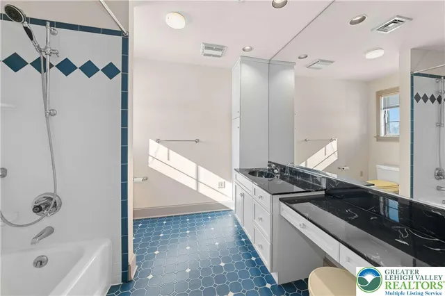 a bathroom with a granite countertop sink a toilet and shower