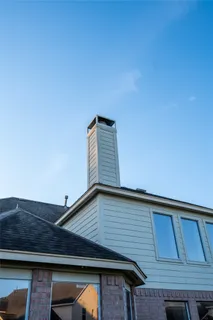 a view of a backyard with plants and a garden