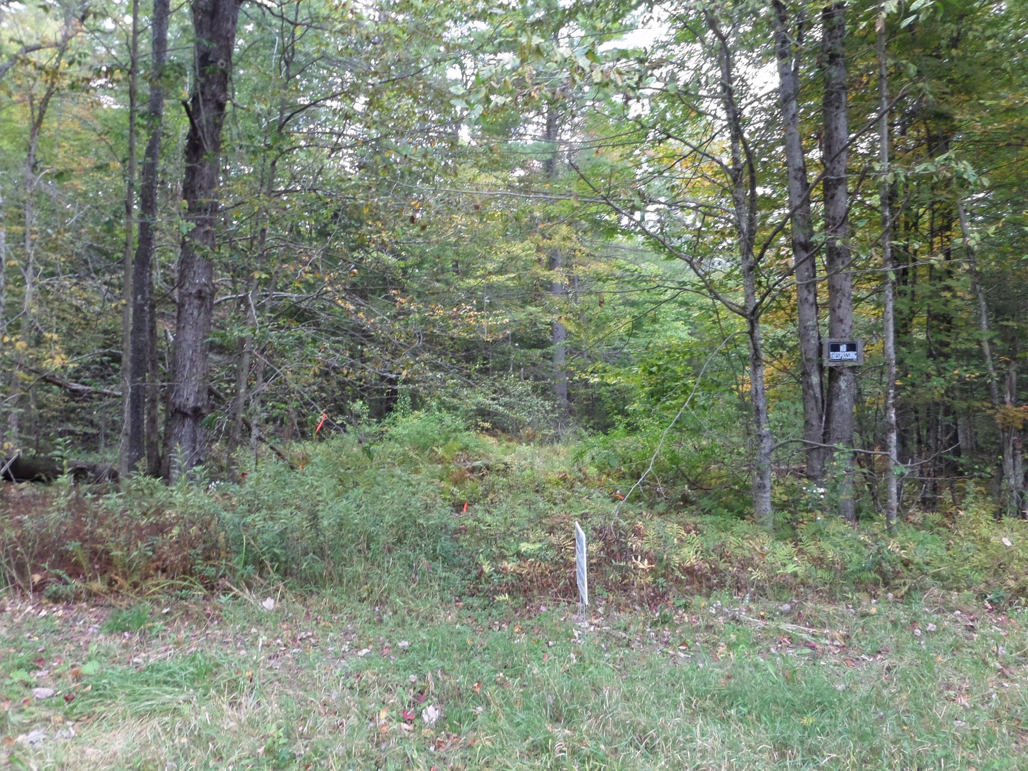 A Damon Pond Road Chesterfield, MA 01012 - Photo 4 of 6 Gallery Image 4