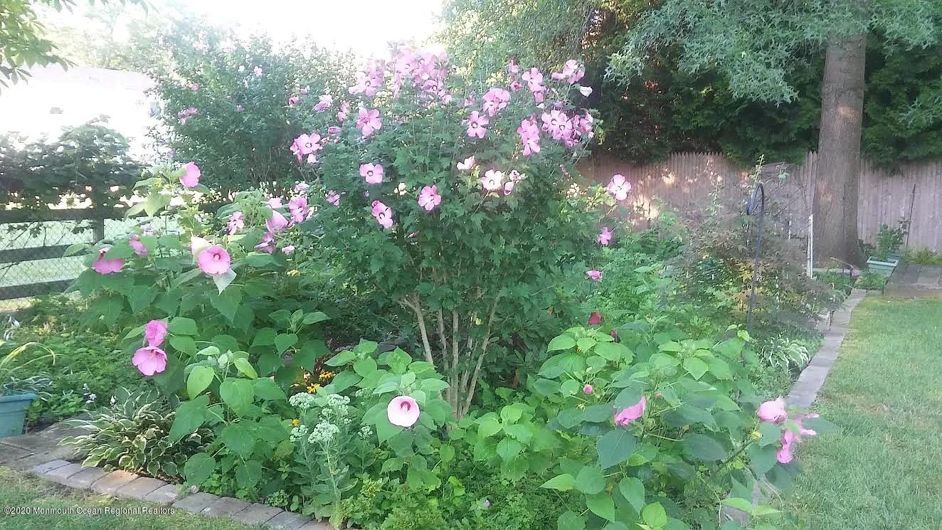 16 Crine Road Colts Neck, NJ 07722 - Photo 22 of 24 Backyard