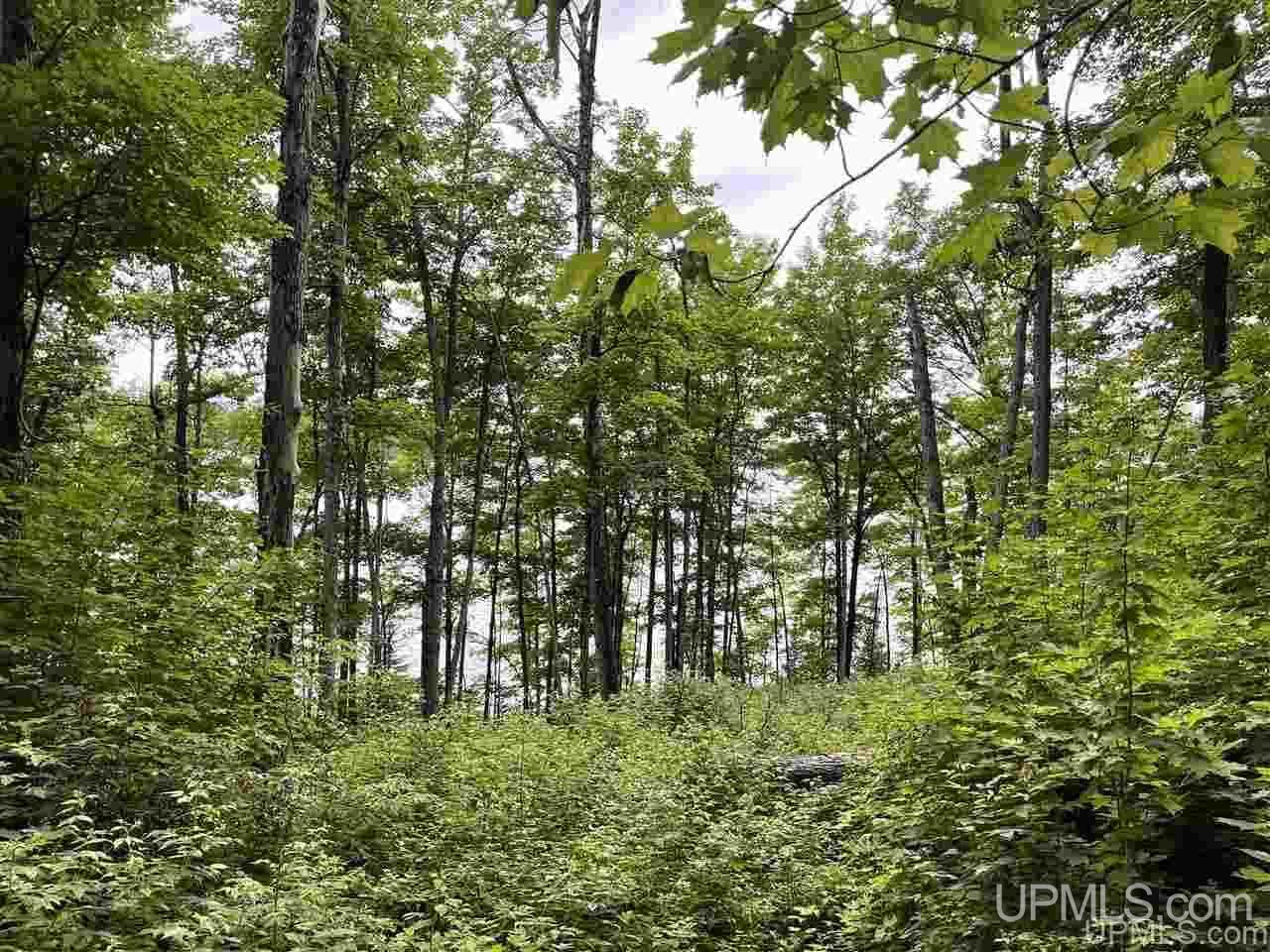Tbd Green Road Michigamme, MI 49861 - Photo 6 of 8 Gallery Image 6