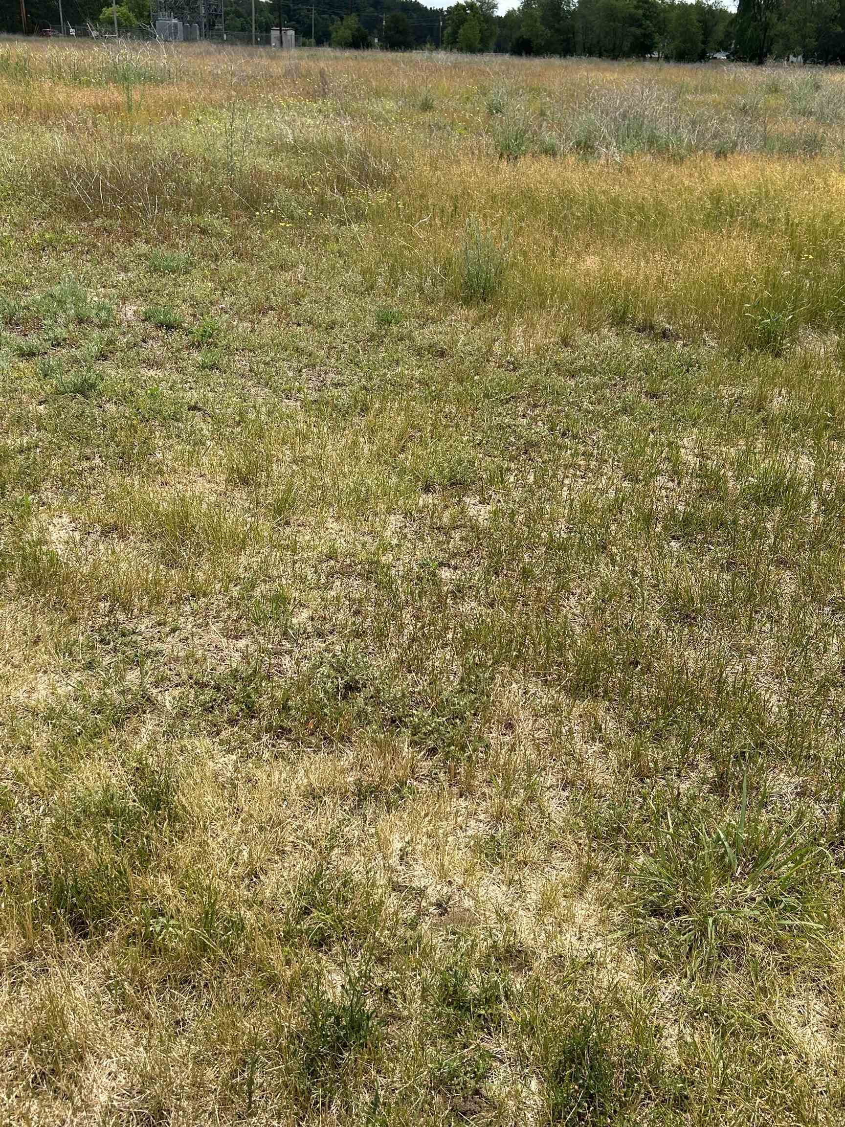 16990 Impact Sparta, WI 54656 - Photo 2 of 9