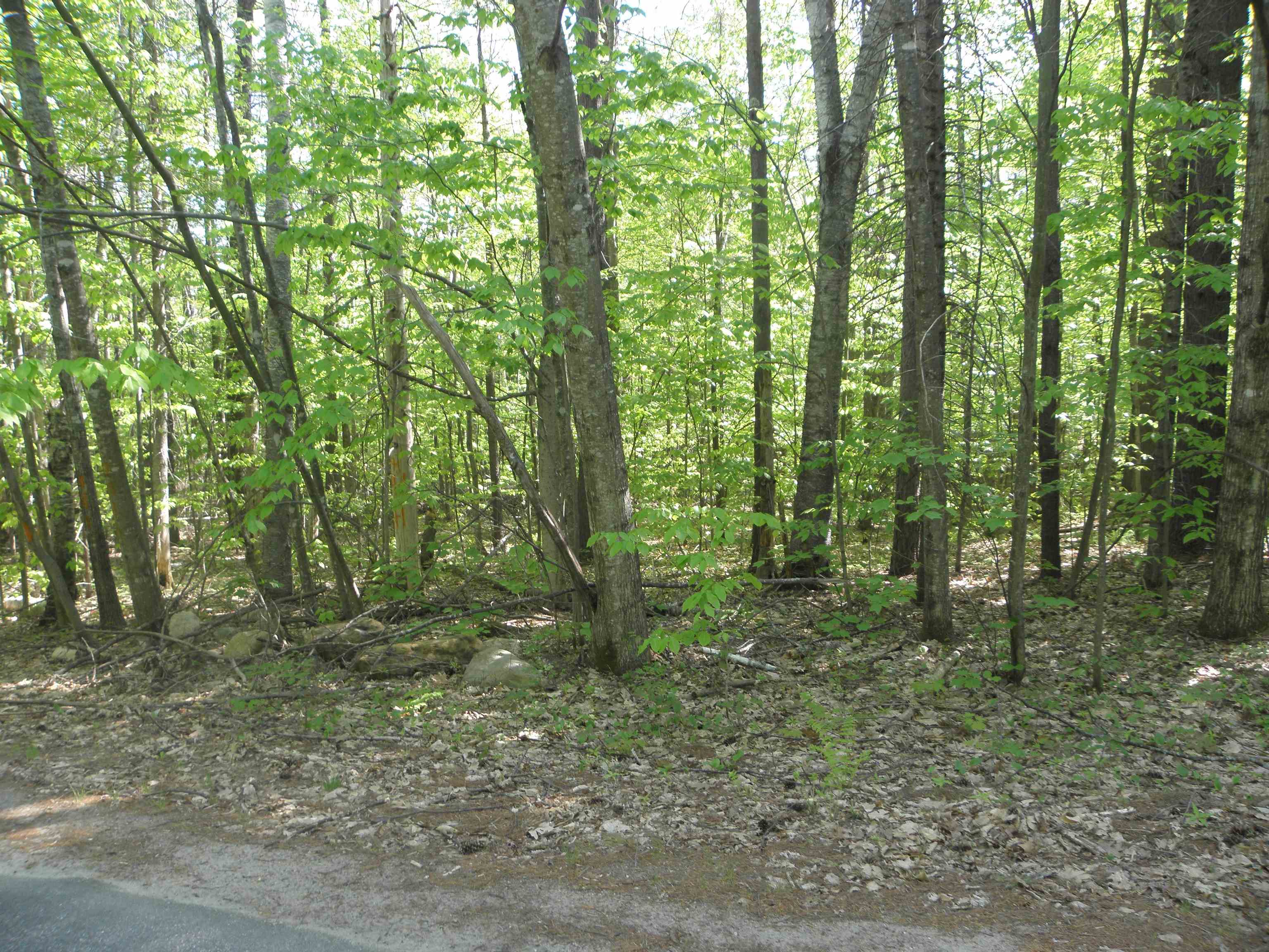 5 11/9 Winterbrook Road, Unit 41 Campton, NH 03223 - Photo 3 of 28