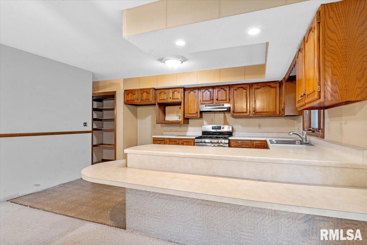 4132 Crocus Drive Springfield, IL 62711 - Photo 8 of 40