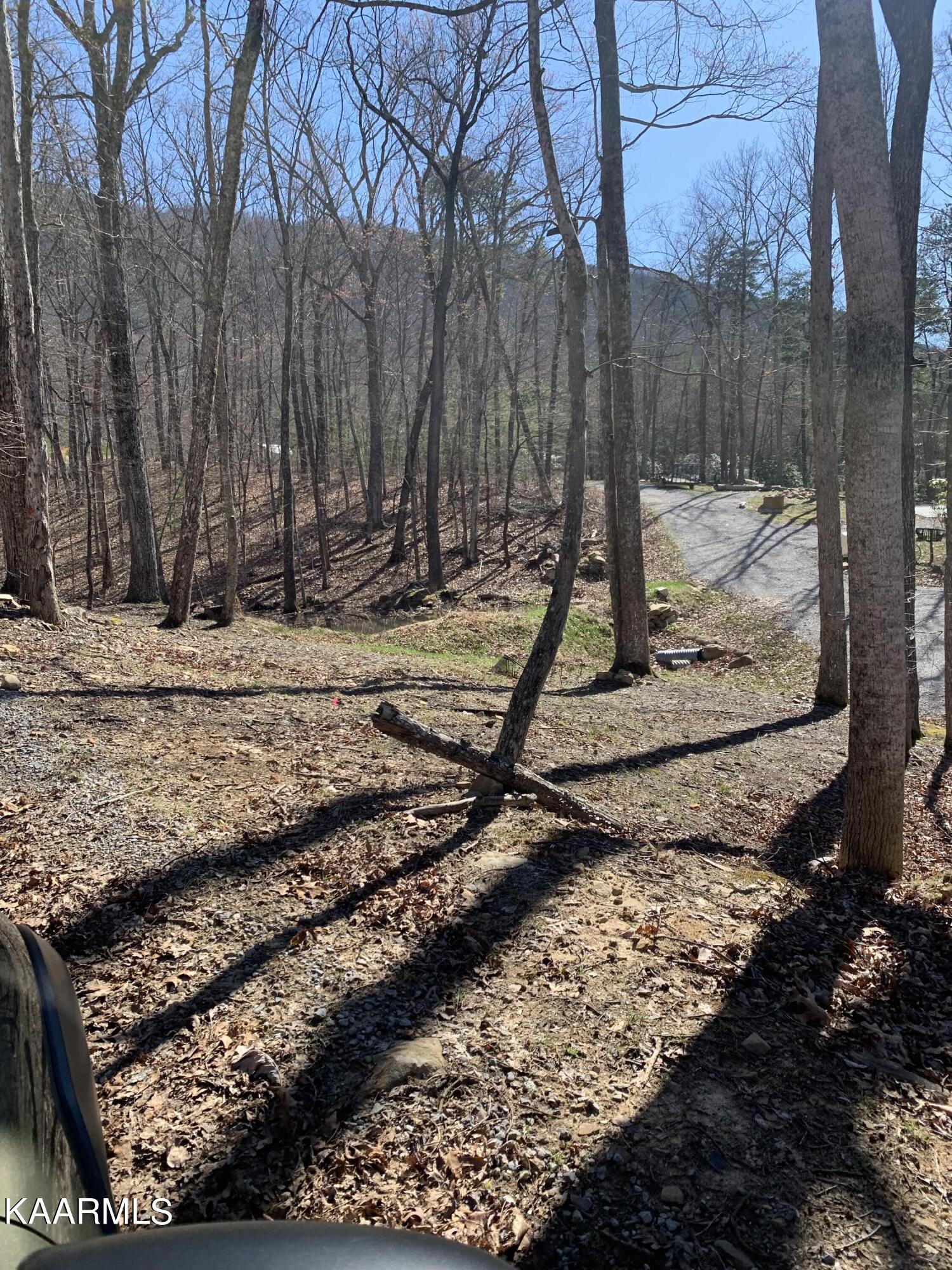 Sunset Lane Seymour, TN 37865 - Photo 2 of 4 IMG-6485