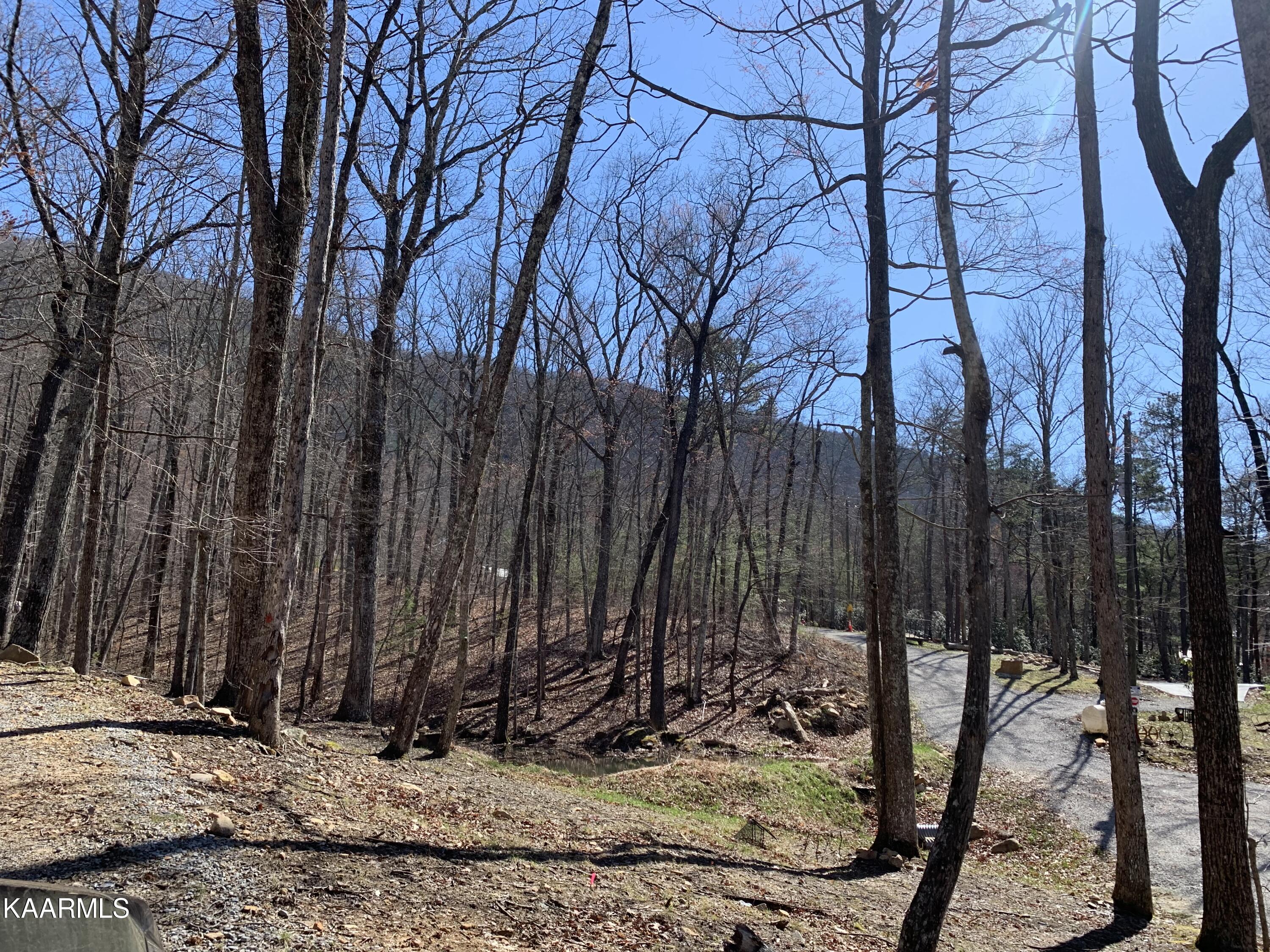 Sunset Lane Seymour, TN 37865 - Photo 3 of 4 IMG-6486