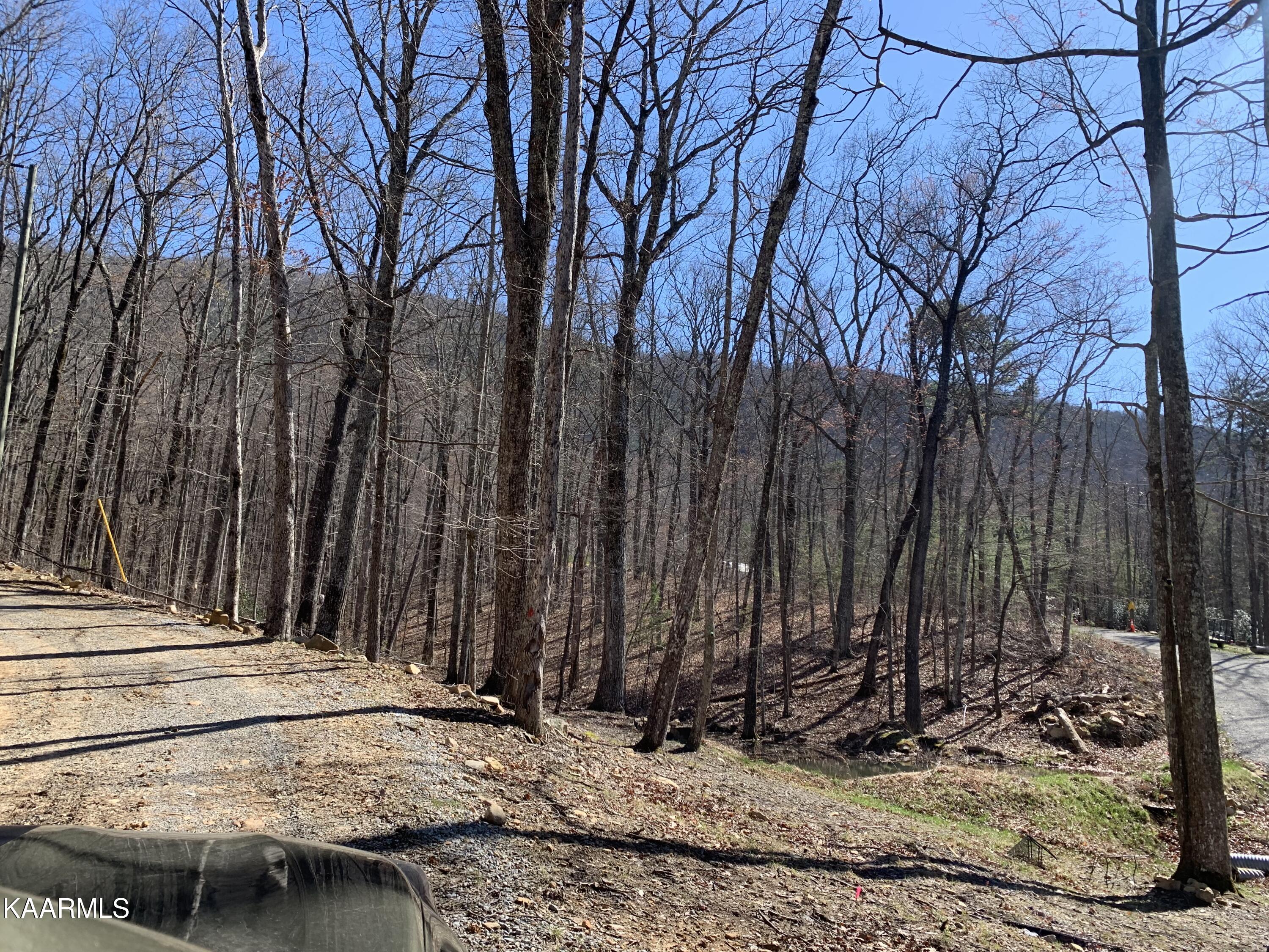 Sunset Lane Seymour, TN 37865 - Photo 4 of 4 IMG-6487