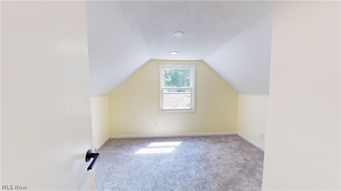 25907 Highland Road Cleveland, OH 44143 - Photo 14 of 28 Bonus room featuring lofted ceiling, carpet floors, and a textured ceiling