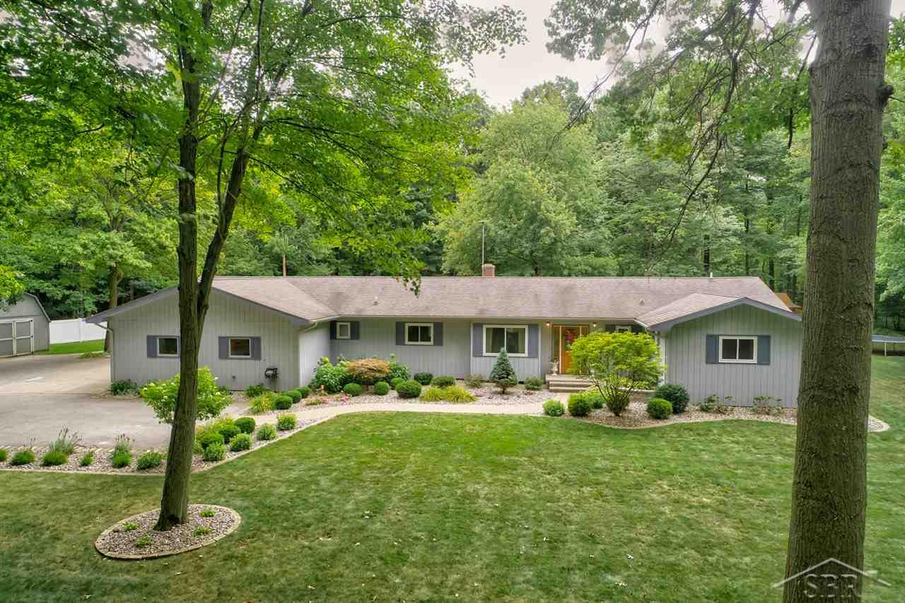 19201 Nelson Road St. Charles, MI 48655 - Photo 3 of 57