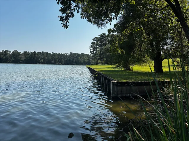 $2,900 | 377 Burke Street, Point Blank, TX 77364