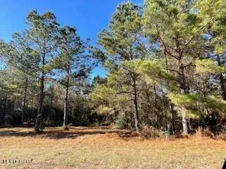 $180,500 | Northeast Linwood Lane Northeast, Brookhaven, MS 39601