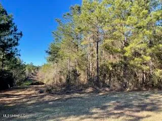 $180,500 | Northeast Linwood Lane Northeast, Brookhaven, MS 39601