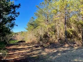$180,500 | Northeast Linwood Lane Northeast, Brookhaven, MS 39601