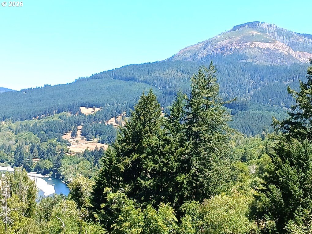 99608 South Bank Chetco Road Brookings, OR 97415 - Photo 1 of 29