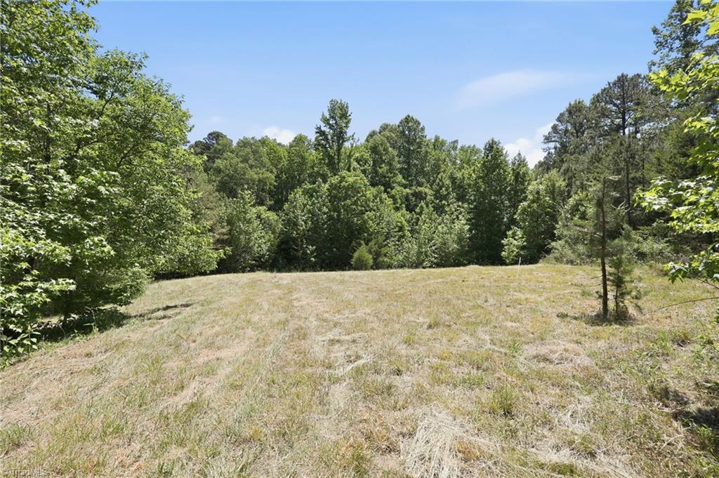 3168 Benny Lineberry Road Climax, NC 27233 - Photo 40 of 50