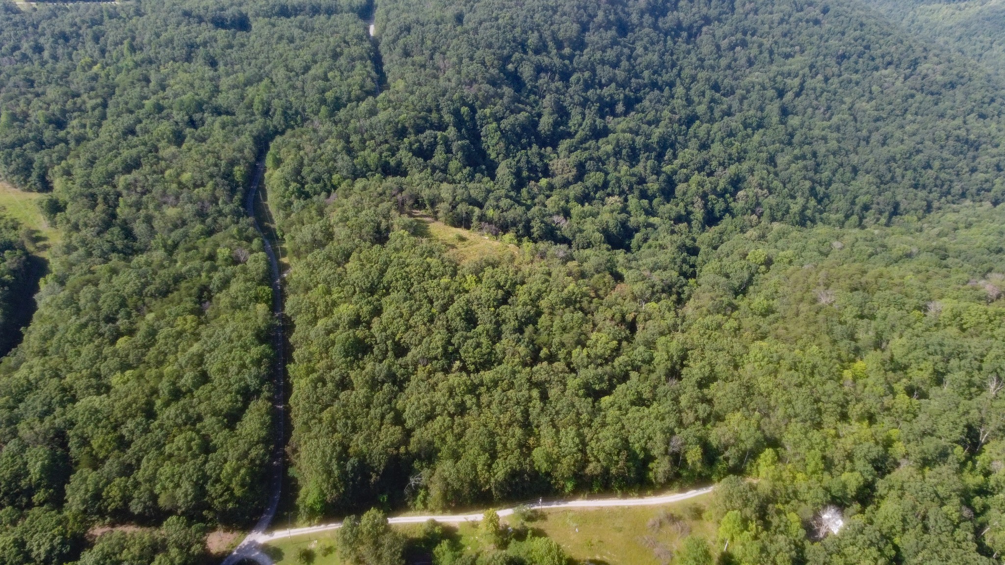 0 Partin Farm Road South Pittsburg, TN 37380 - Photo 3 of 8