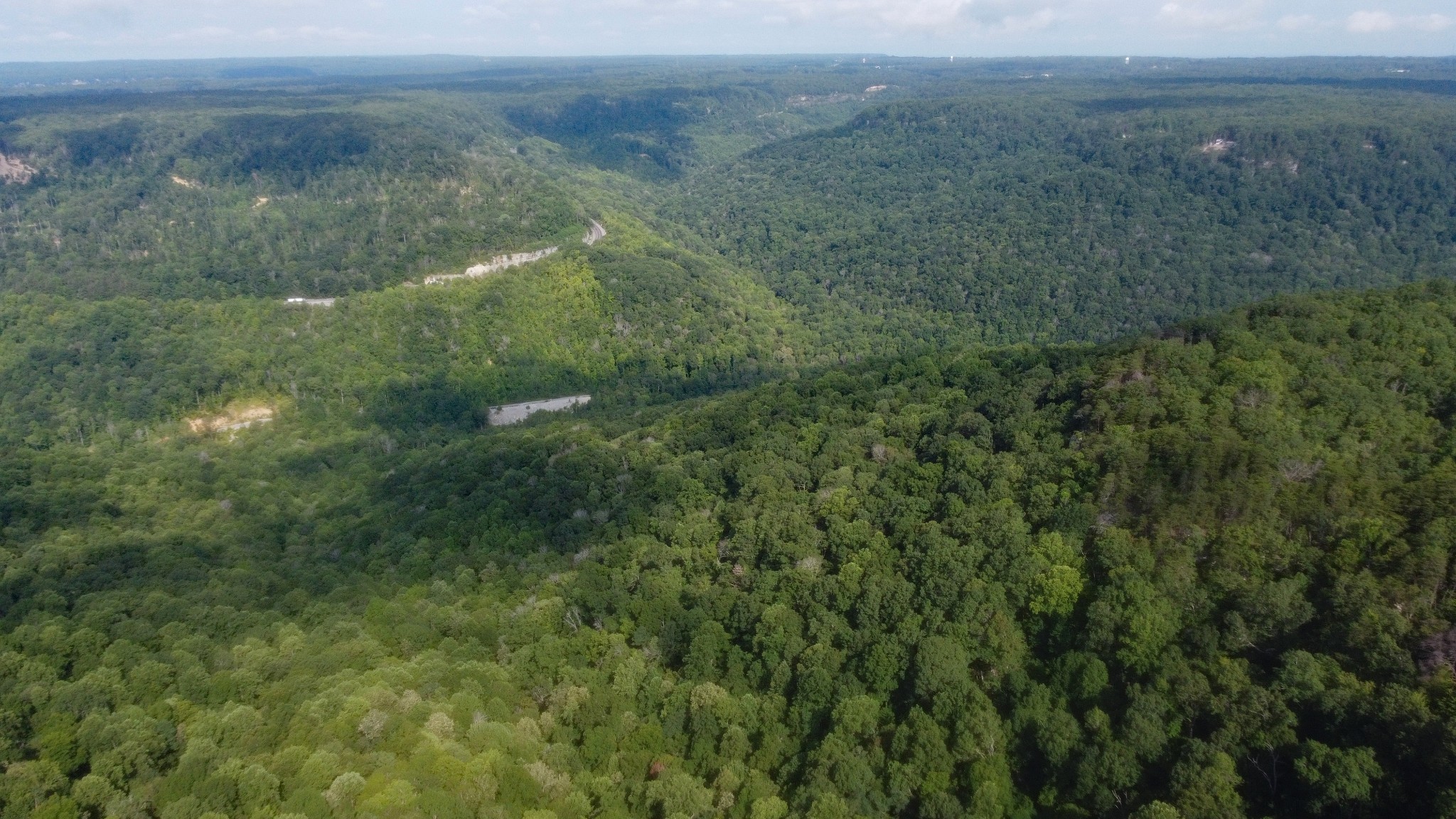 0 Partin Farm Road South Pittsburg, TN 37380 - Photo 4 of 8