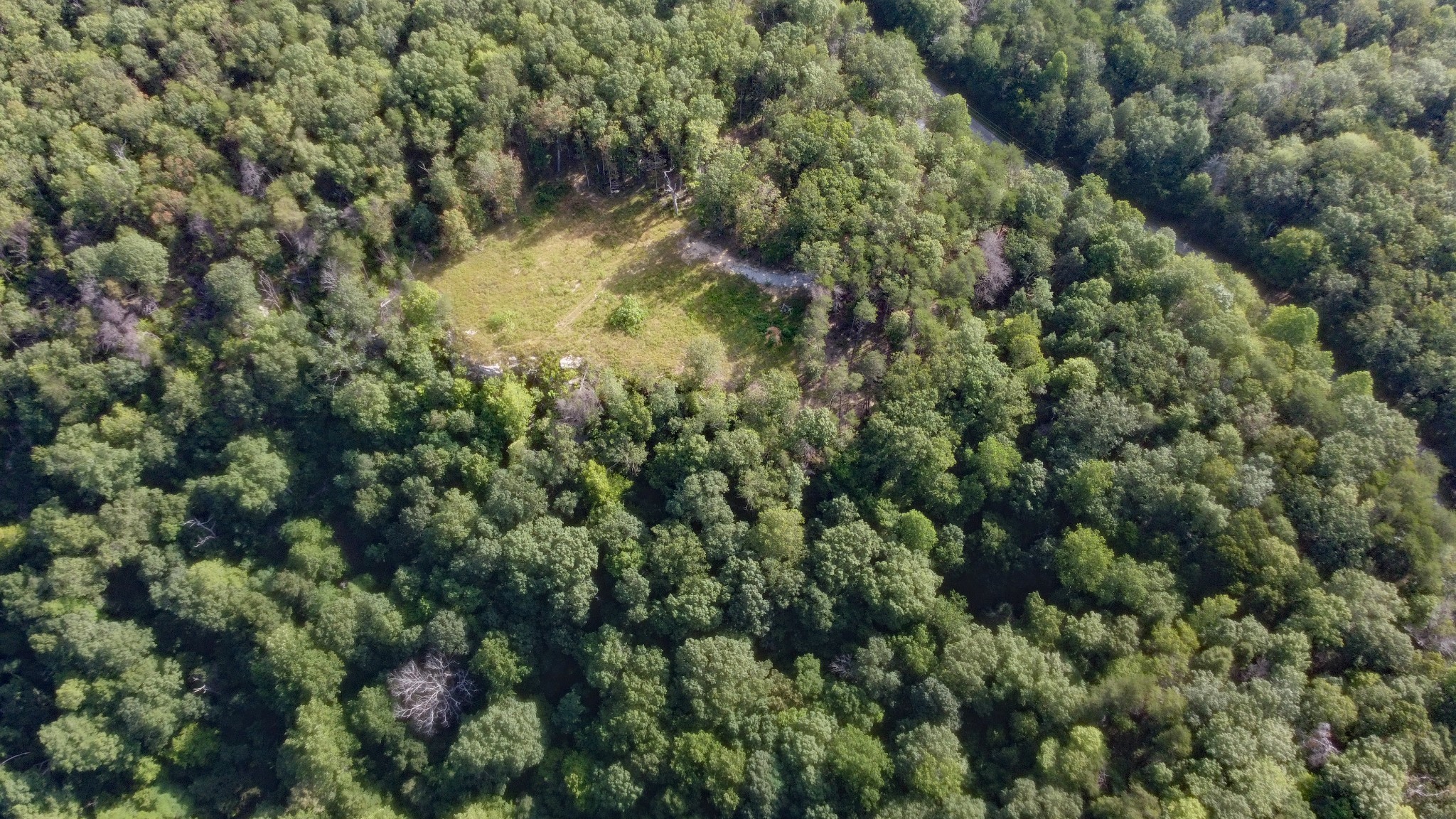 0 Partin Farm Road South Pittsburg, TN 37380 - Photo 6 of 8