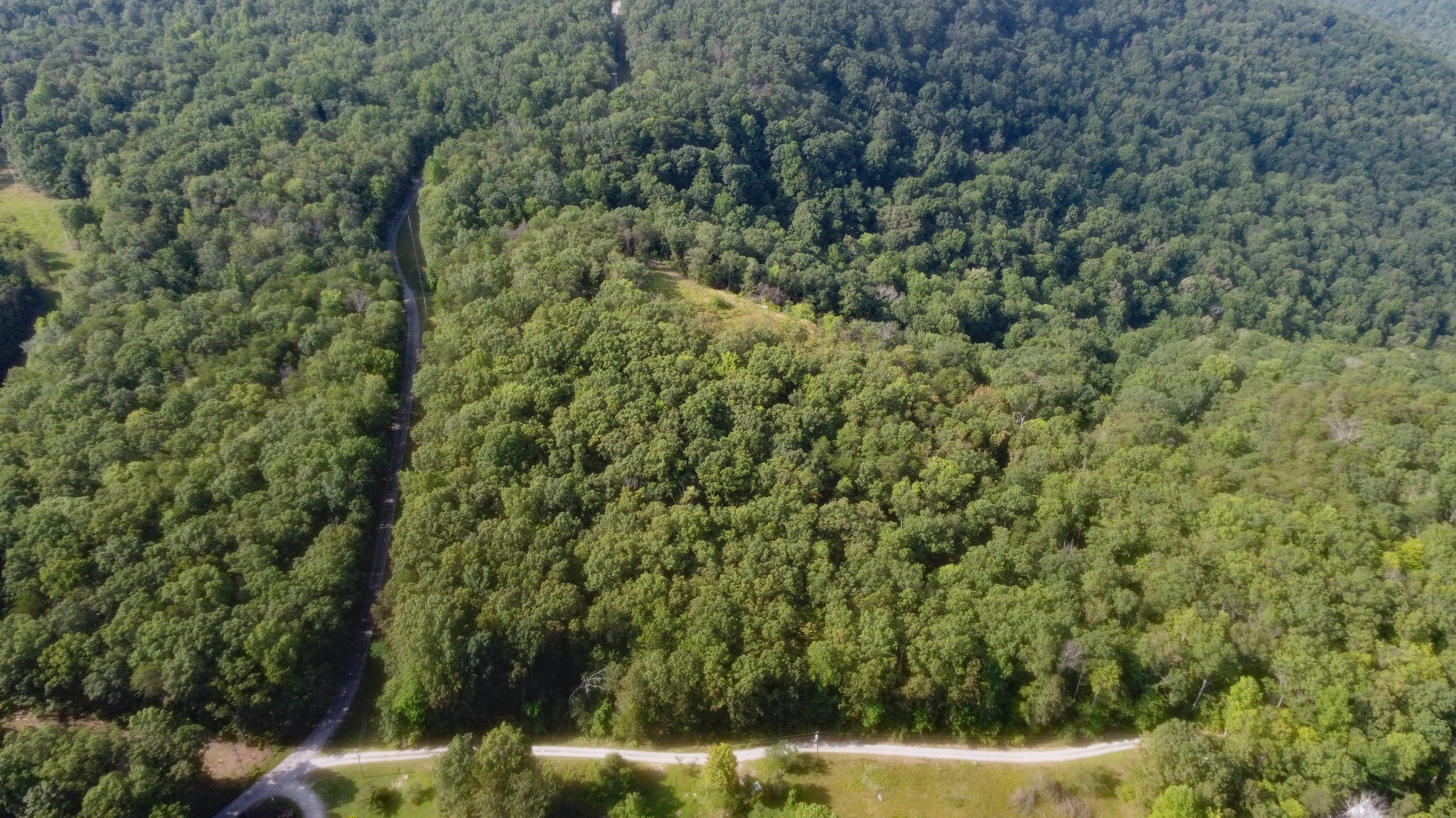 0 Partin Farm Road South Pittsburg, TN 37380 - Photo 7 of 8