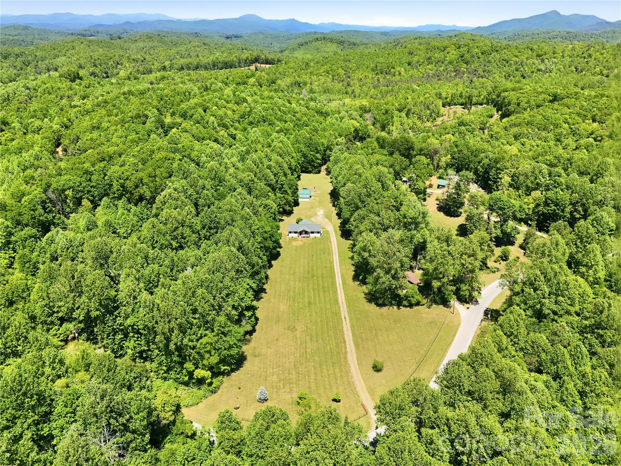 3540 Fork Creek Road Saluda, NC 28773 - Photo 9 of 39