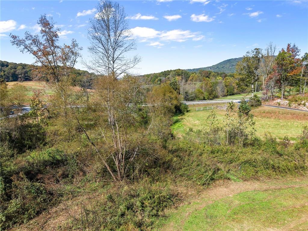 0 Highway 255 South Cleveland, GA 30528 - Photo 8 of 23