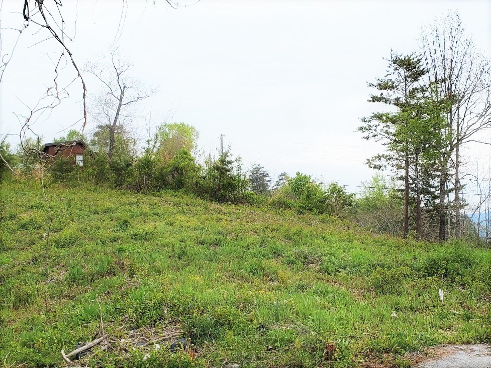 6061 Red Cedar Lane Sevierville, TN 37876 - Photo 2 of 9