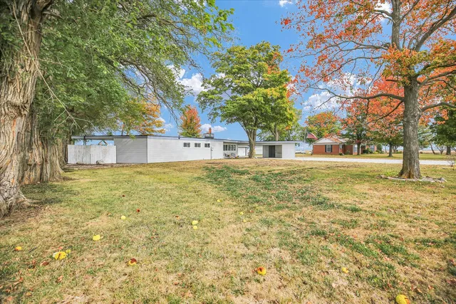 a view of a yard with a tree