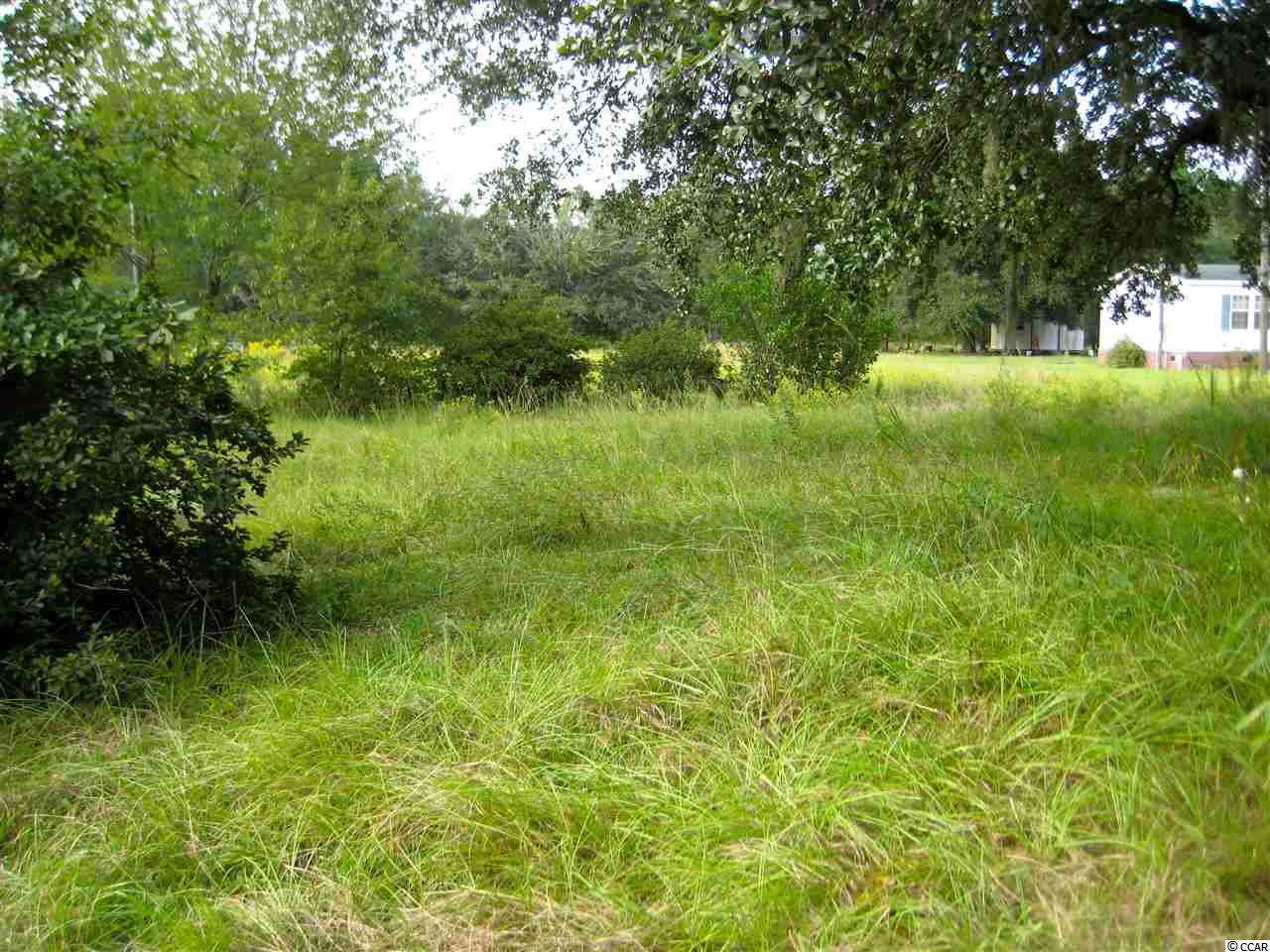 2989 Old Altman Road Conway, SC 29526 - Photo 4 of 6 Gallery Image 4