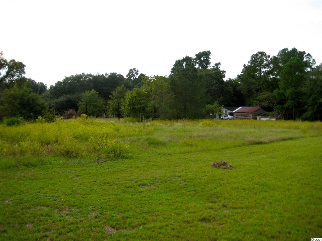 2989 Old Altman Road Conway, SC 29526 - Photo 5 of 6 Gallery Image 5