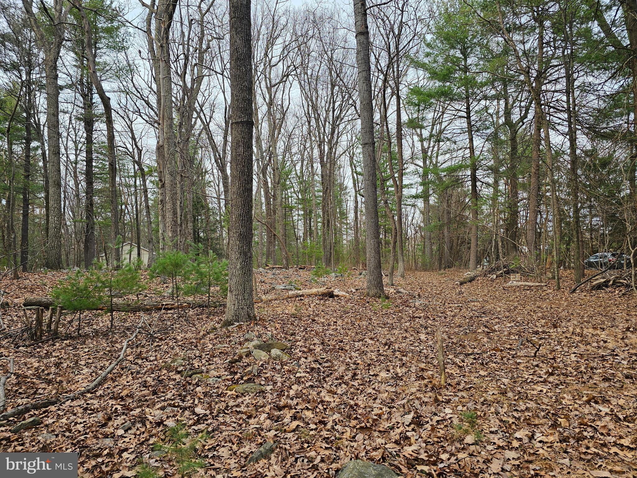 291 Church Road Orrtanna, PA 17353 - Photo 10 of 15 Gallery Image 10