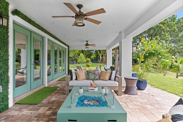 a view of a garden with palm trees