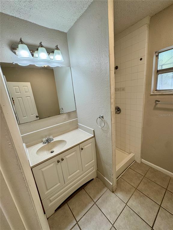 1912 West Grace Street Tampa, FL 33607 - Photo 20 of 22 a bathroom with a sink and a mirror