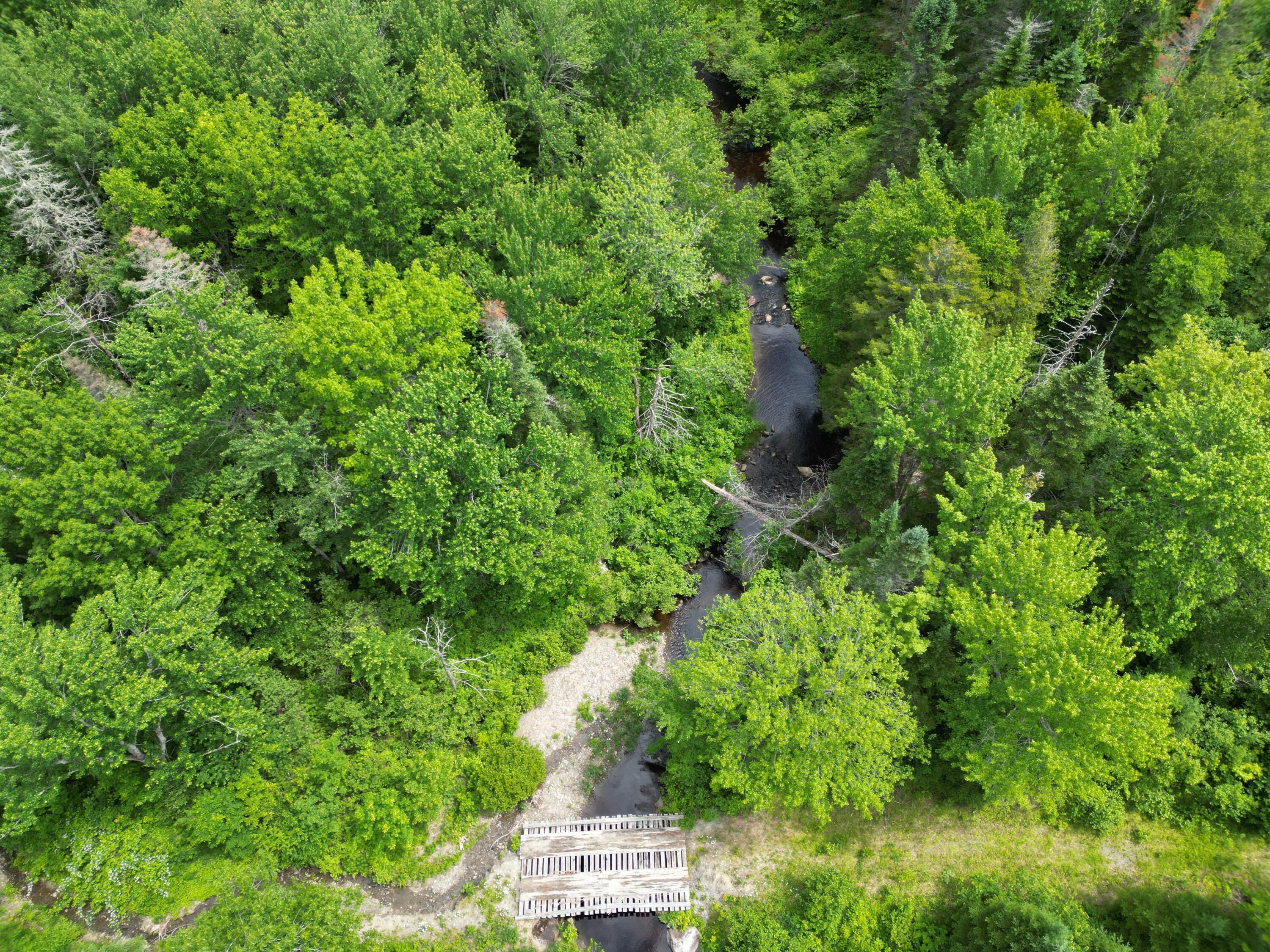 Lot 2 Main Road Carroll Plt, ME 04487 - Photo 3 of 14 DJI_0759