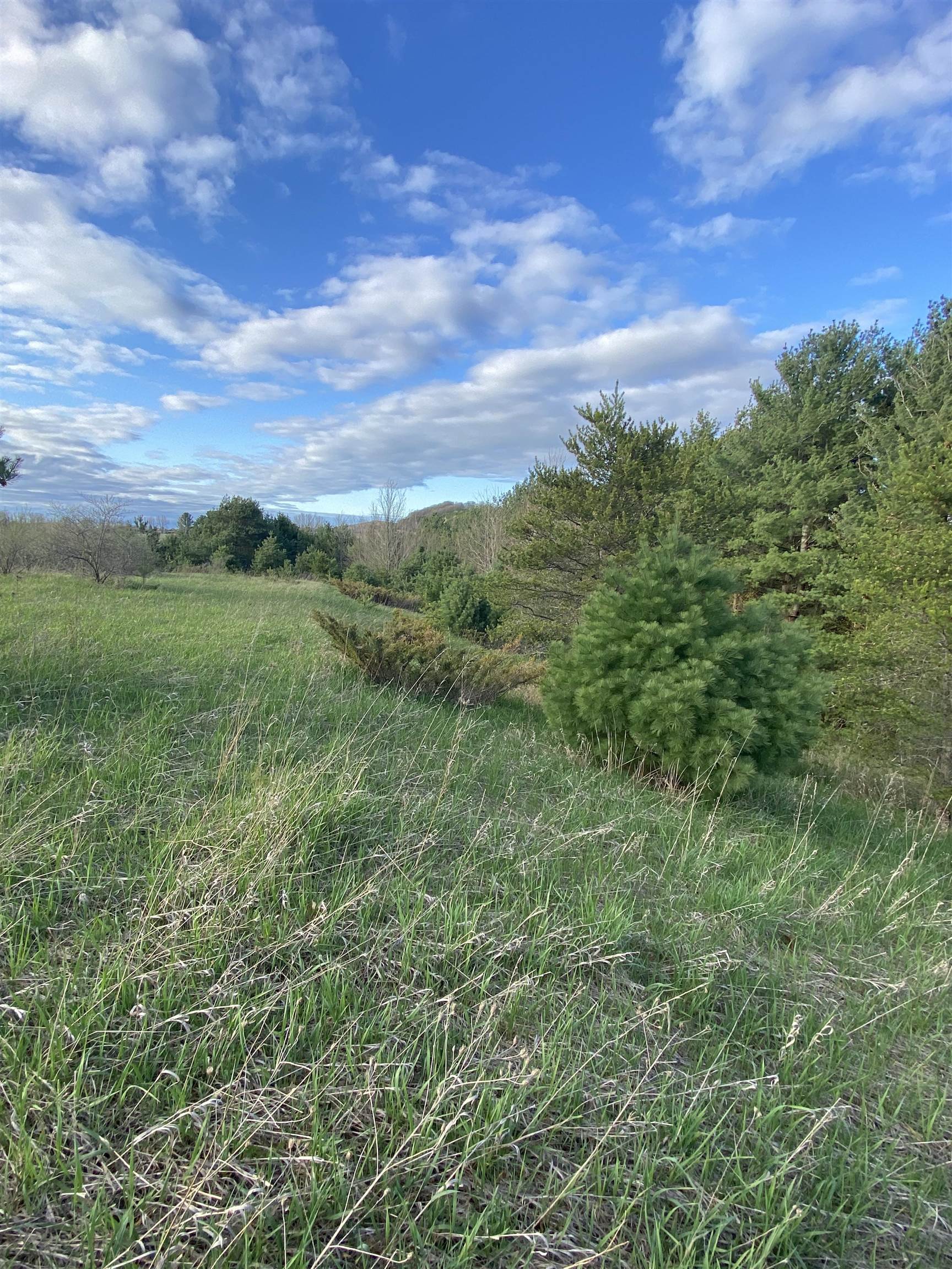 S South Good Harbor Trail Cedar, MI 49621 - Photo 8 of 13 Gallery Image 8