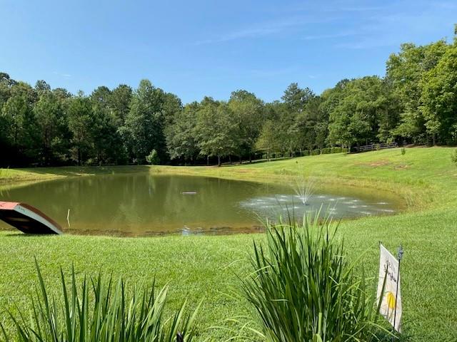 12101-2 County Line Road Midland, GA 31820 - Photo 51 of 55