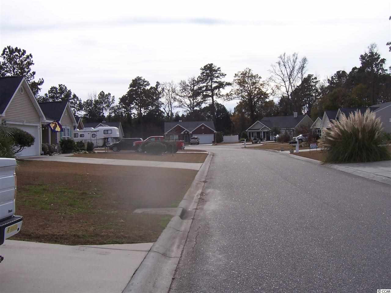 155 Devonbrook Place Longs, SC 29568 - Photo 19 of 19 Gallery Image 19