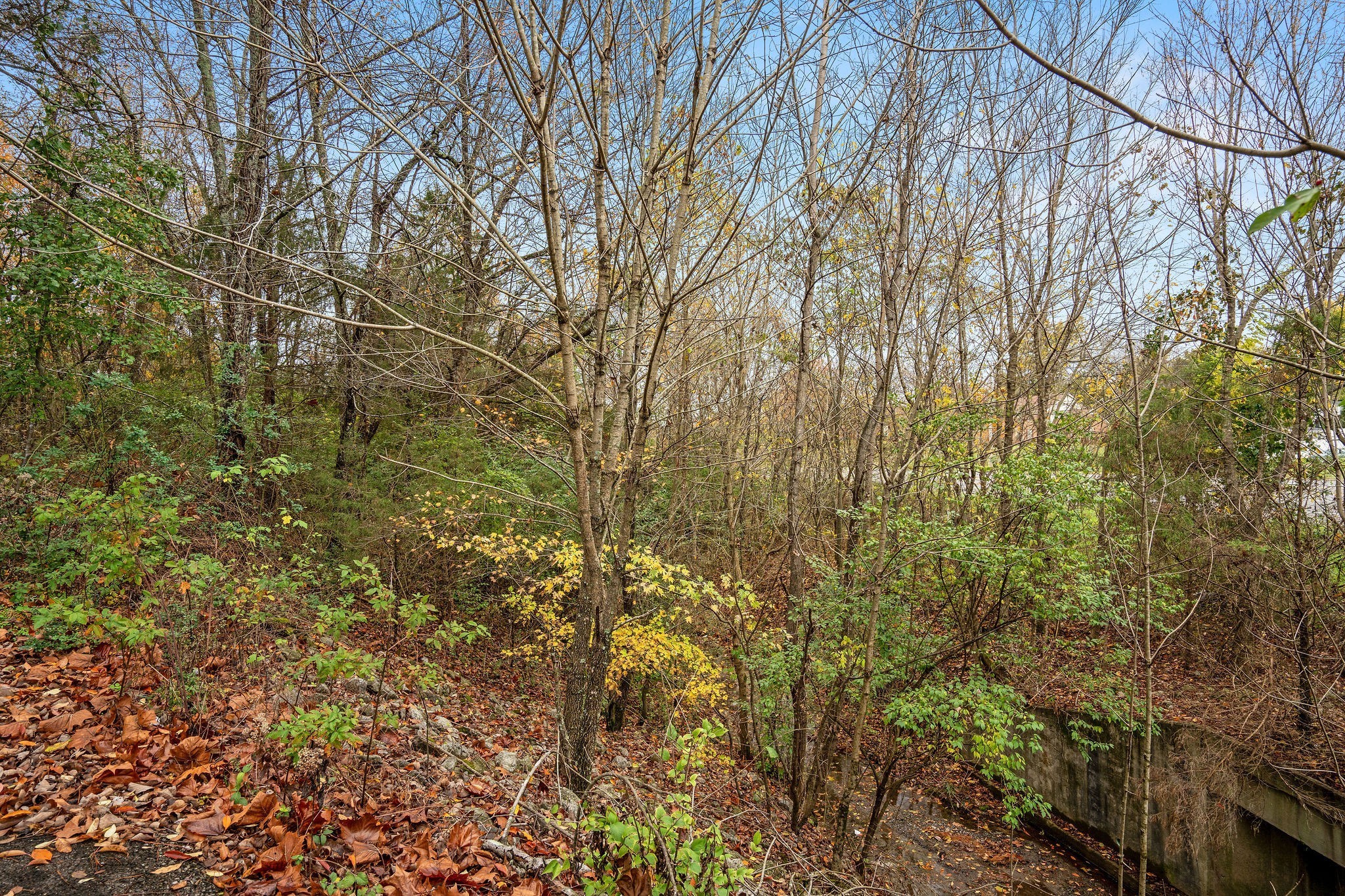 4087 Murfreesboro Road Franklin, TN 37067 - Photo 16 of 27