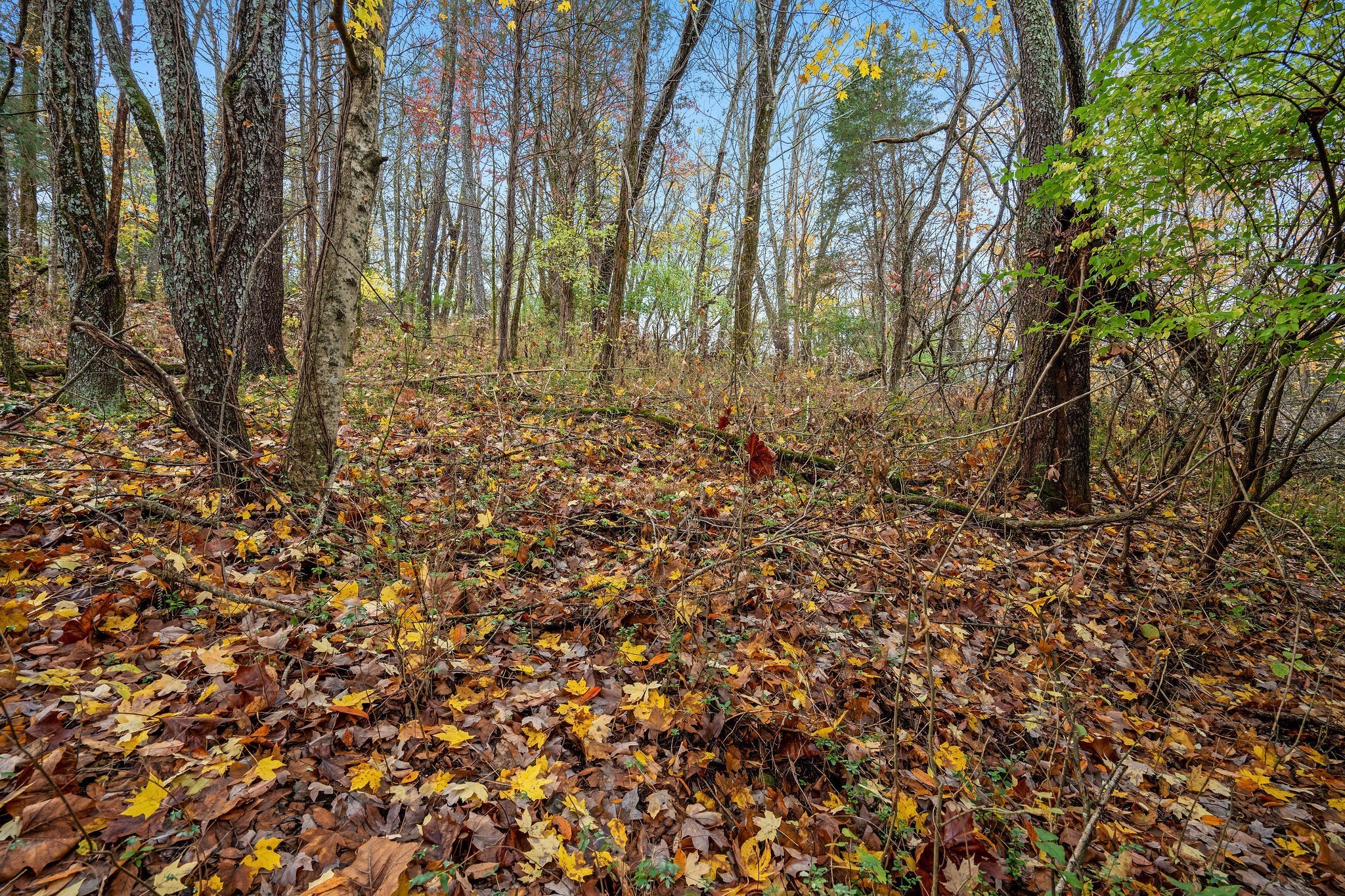 4087 Murfreesboro Road Franklin, TN 37067 - Photo 3 of 27