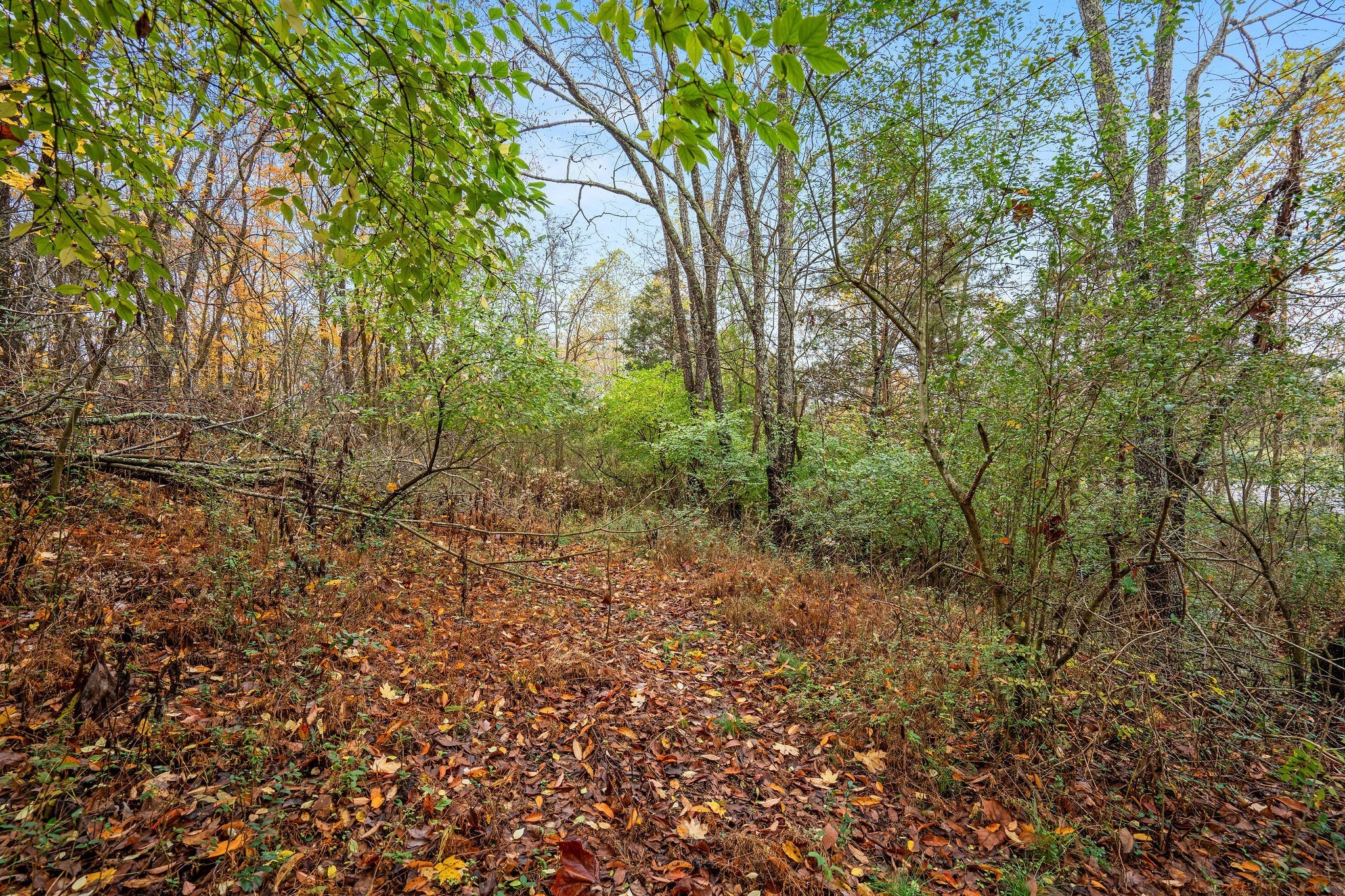 4087 Murfreesboro Road Franklin, TN 37067 - Photo 6 of 27