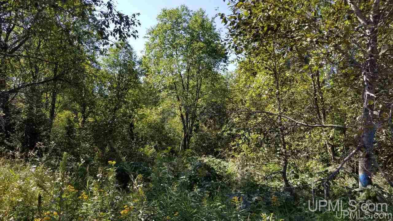 Tbd Fishing Site Road, Unit 1 Amasa, MI 49903 - Photo 17 of 19