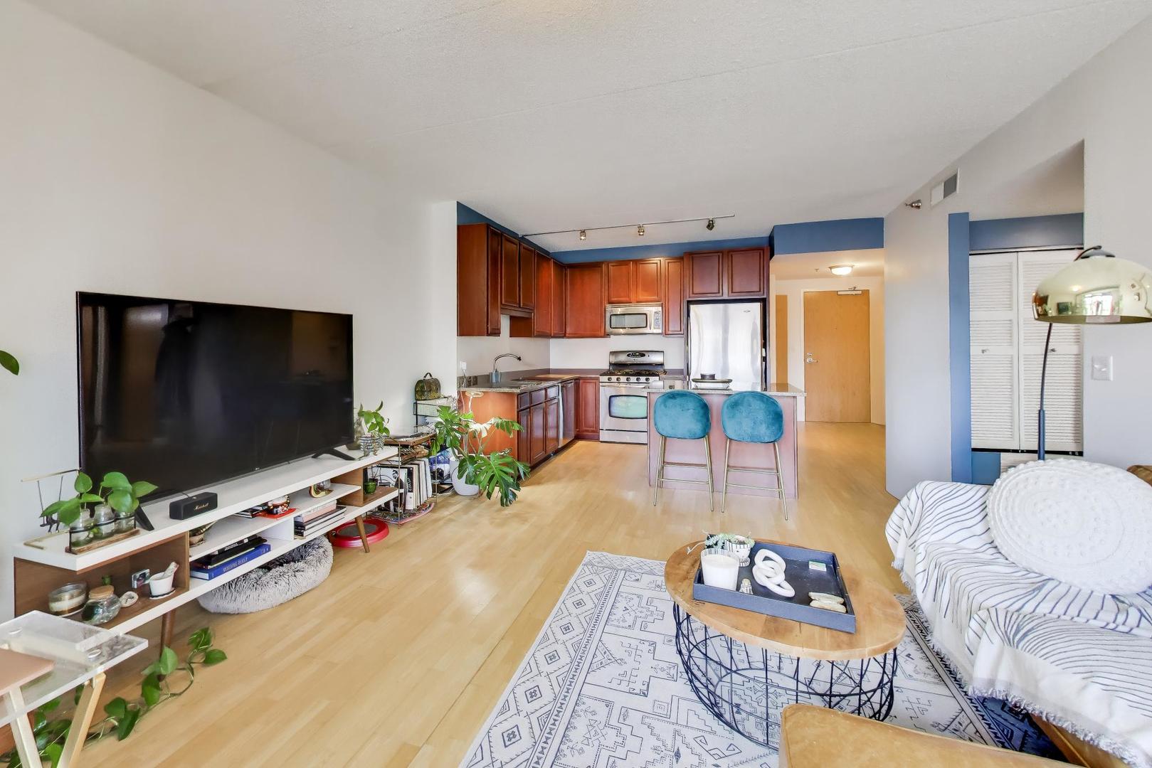 1250 South Indiana Avenue, Unit 1013 Chicago, IL 60605 - Photo 6 of 28