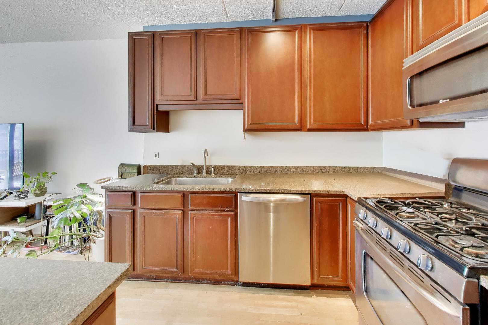 1250 South Indiana Avenue, Unit 1013 Chicago, IL 60605 - Photo 8 of 28