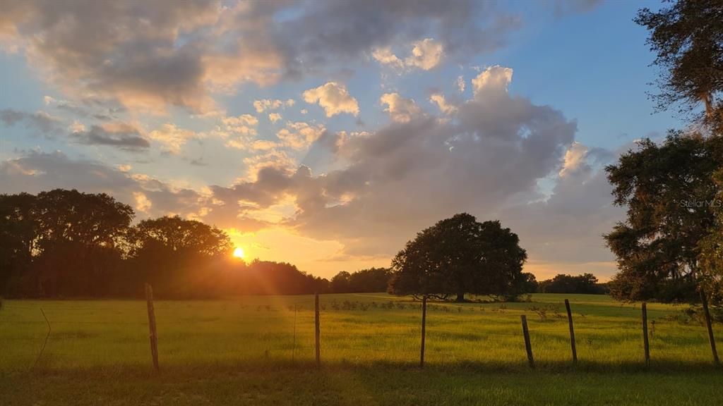 2800 Hammock Grove Road Groveland, FL 34736 - Photo 5 of 27