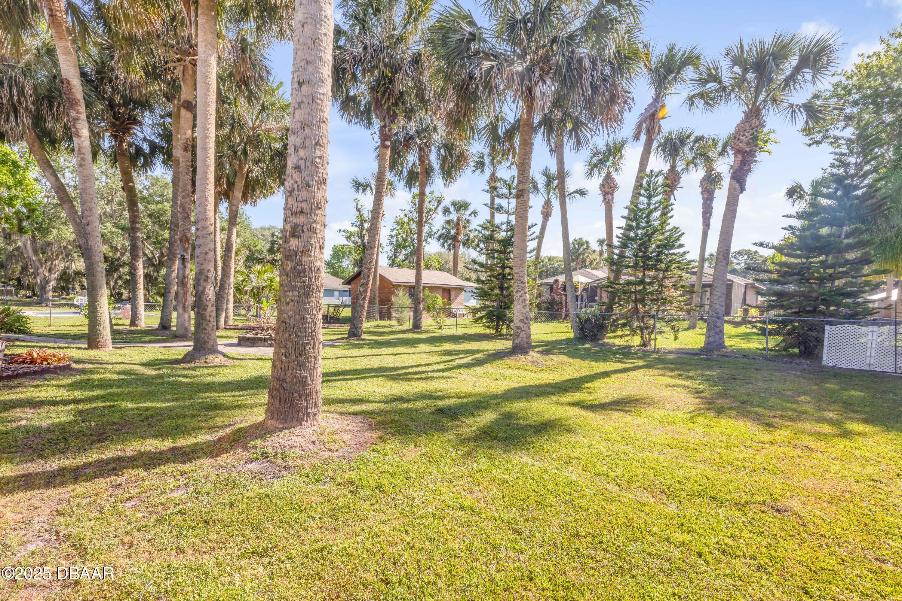 1617 Hontoon Road DeLand, FL 32720 - Photo 37 of 43 a view of yard with swimming pool